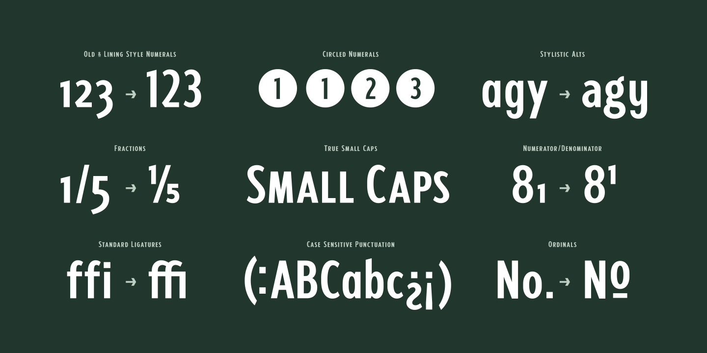 Fellbaum Grotesk Thin Font preview
